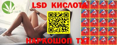 шишки Бийск