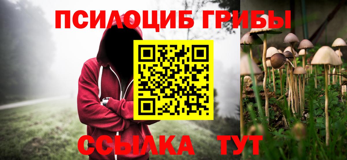 Галлюциногенные грибы GOLDEN TEACHER Избербаш